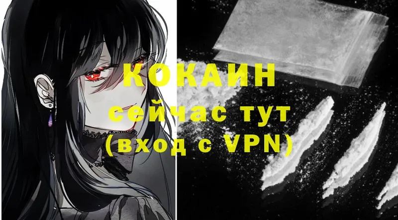 COCAIN VHQ  где продают   Сельцо 